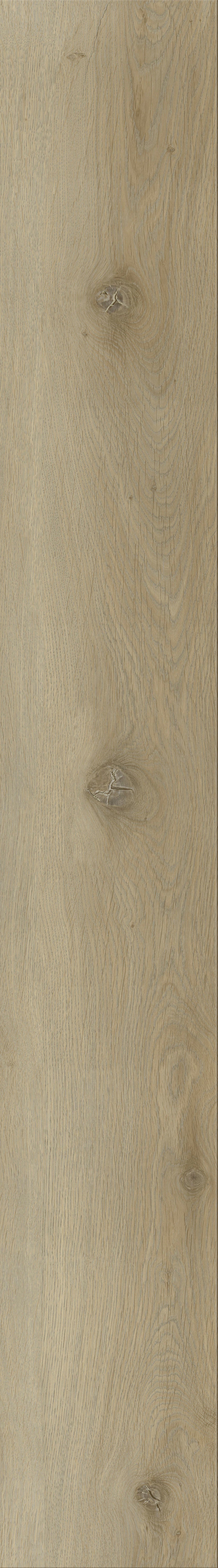 RIGID LVT - Roble Sabana