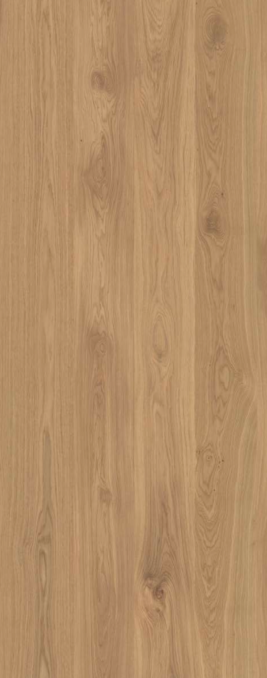 BCN 189 - Coventry oak (FR)