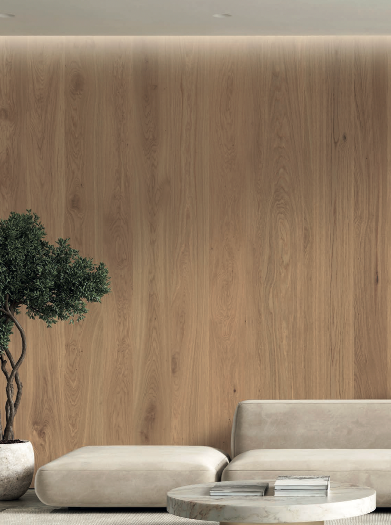 BCN 189 - Coventry oak (FR)