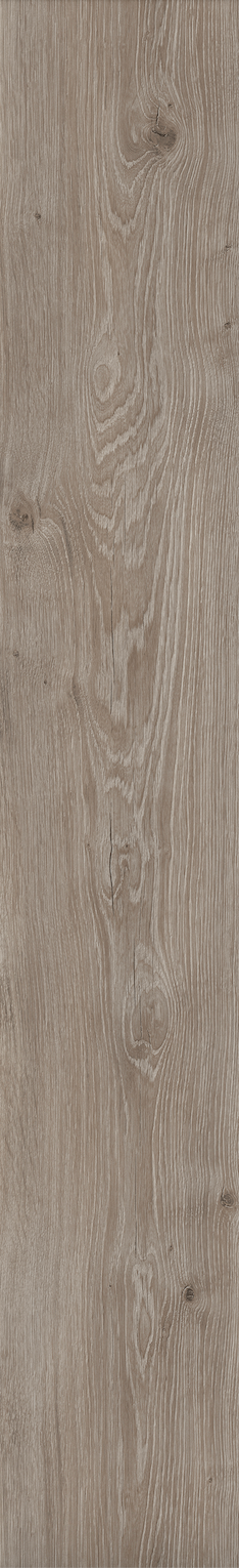 PURE LAMINATE TERRA AC5 - SOIL