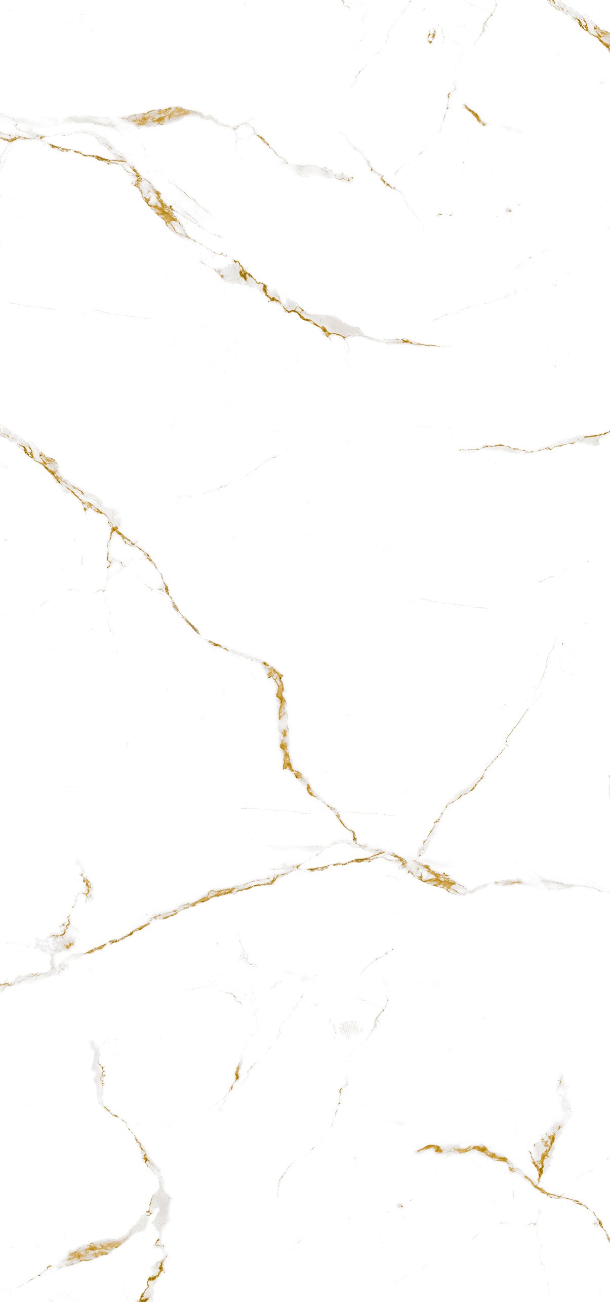 BCN 146 - Calacata Gold (FR)