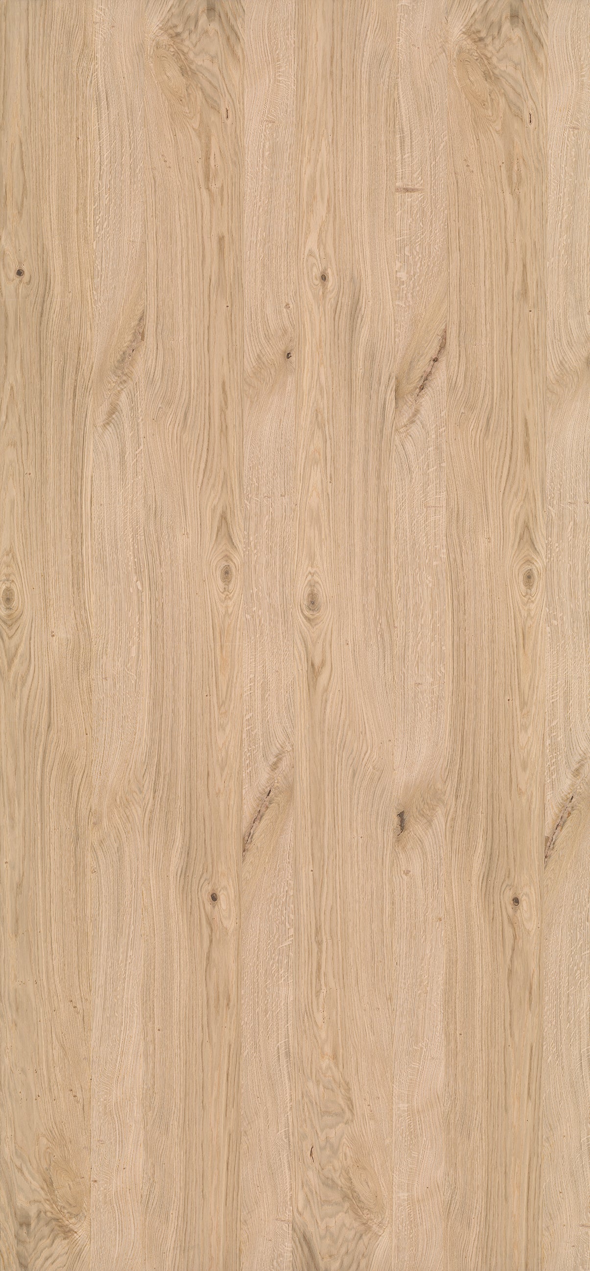 BCN 121 - Natural Oak (FR)